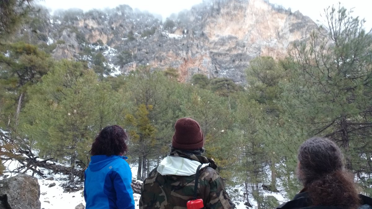 OldGrowth_UHU's tweet photo. Esta semana estamos en campo realizando los muestreos del proyecto @OldGrowth_UHU @FBiodiversidad @uhu_global 🌲 en compañia del fotógrafo y documentalista #ManuTrillo https://t.co/bmuOWzzDJu