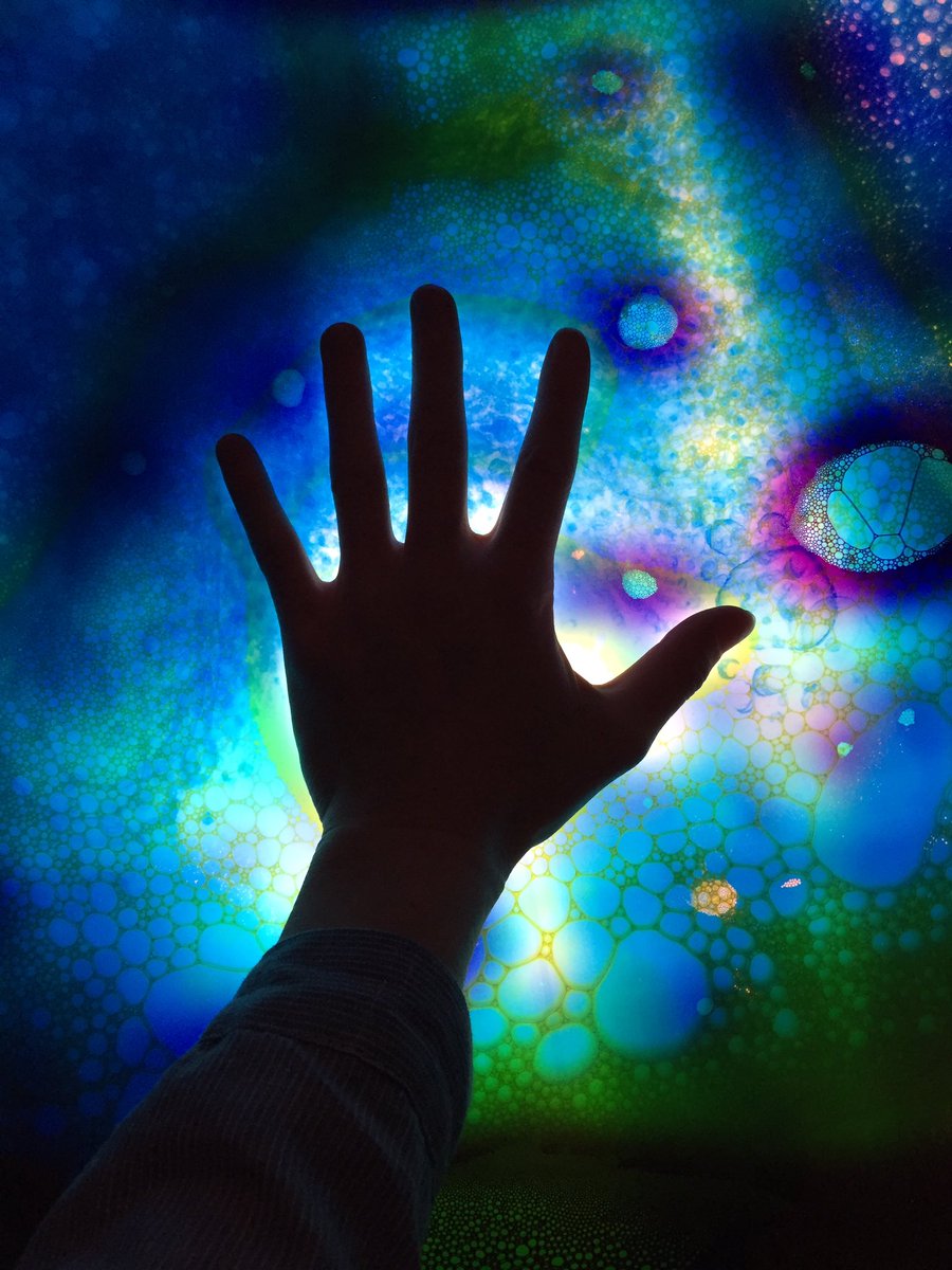 Katherine Elliott tweet media