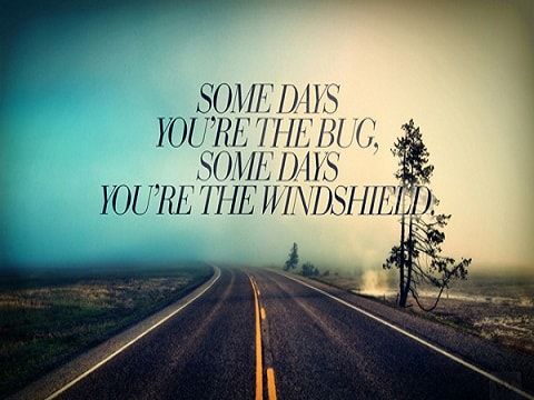 FloatStudioDesg's tweet image. Sometimes you're the bug

#lifequotes