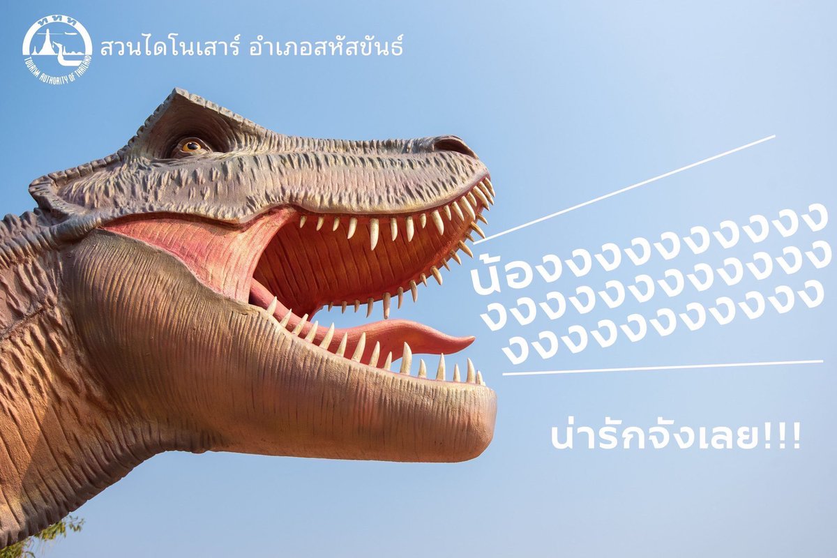 มุงชิ ' 🐈🐧🐯🦌🐻🍞🌱 tweet media