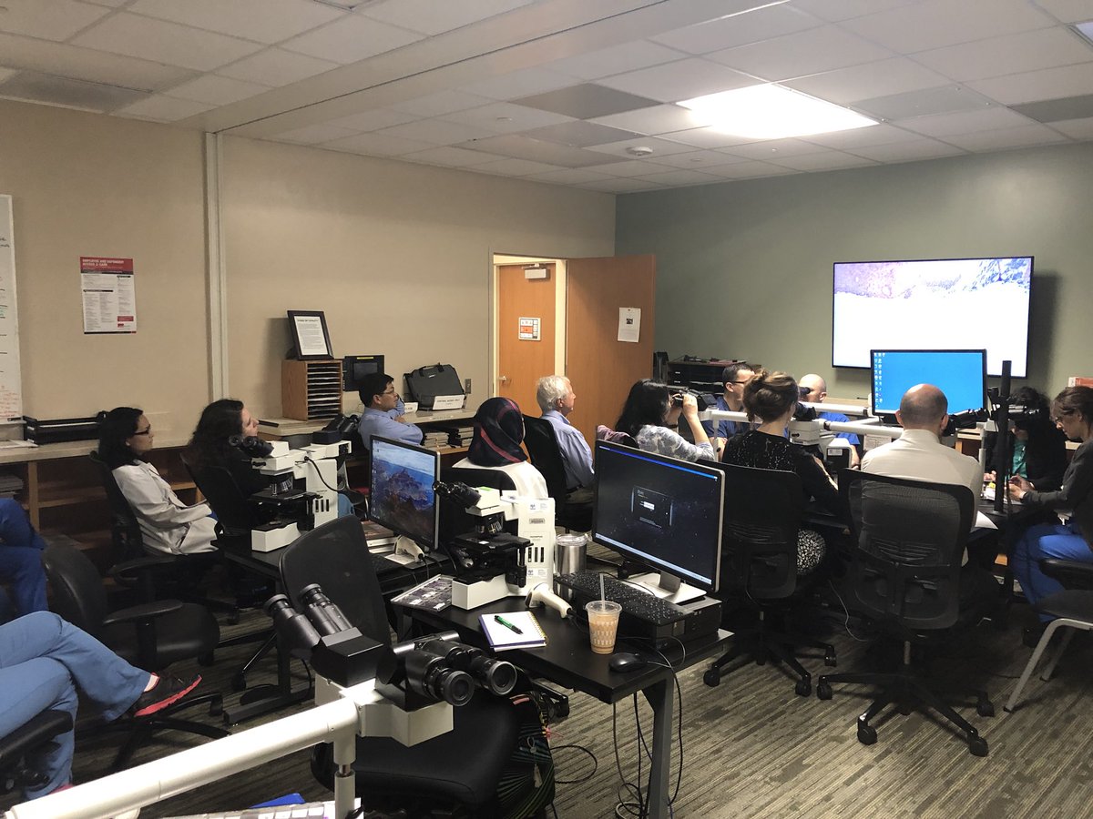 UTMB_Pathology's tweet photo. Big thank you to @MPulitzerMD for an awesome slide session on Merkel cell carcinoma! #mskpath #MerkelCell https://t.co/lZHYaPB3Jt