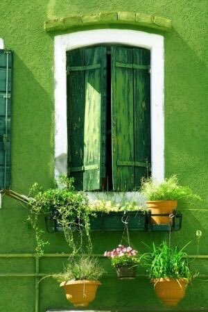 mppf111's tweet photo. Feliz tarde!!! https://t.co/oGfOiJnwz9
