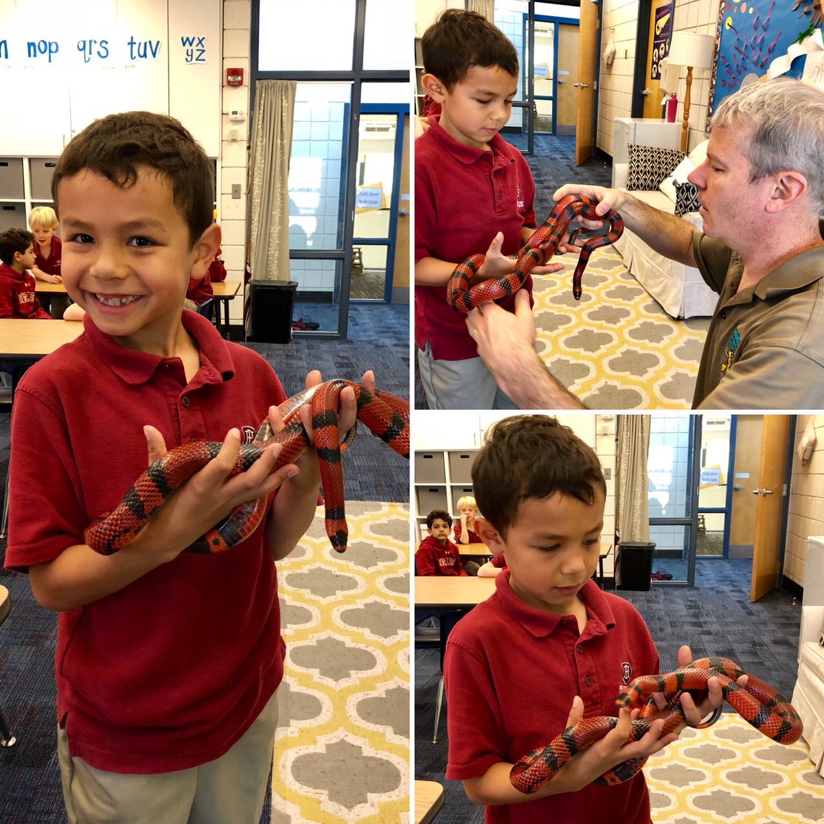 HIESbears's tweet photo. HIES first-graders are learning about some amazing animals today from Zoologist Jim Nark of Party Animals Atlanta. Image: a first-grader holds a Honduran milk snake named Big Red. #HIESbears #HIEScience #FridayFun @partyanimalsatl https://t.co/TwuIM7gZgw