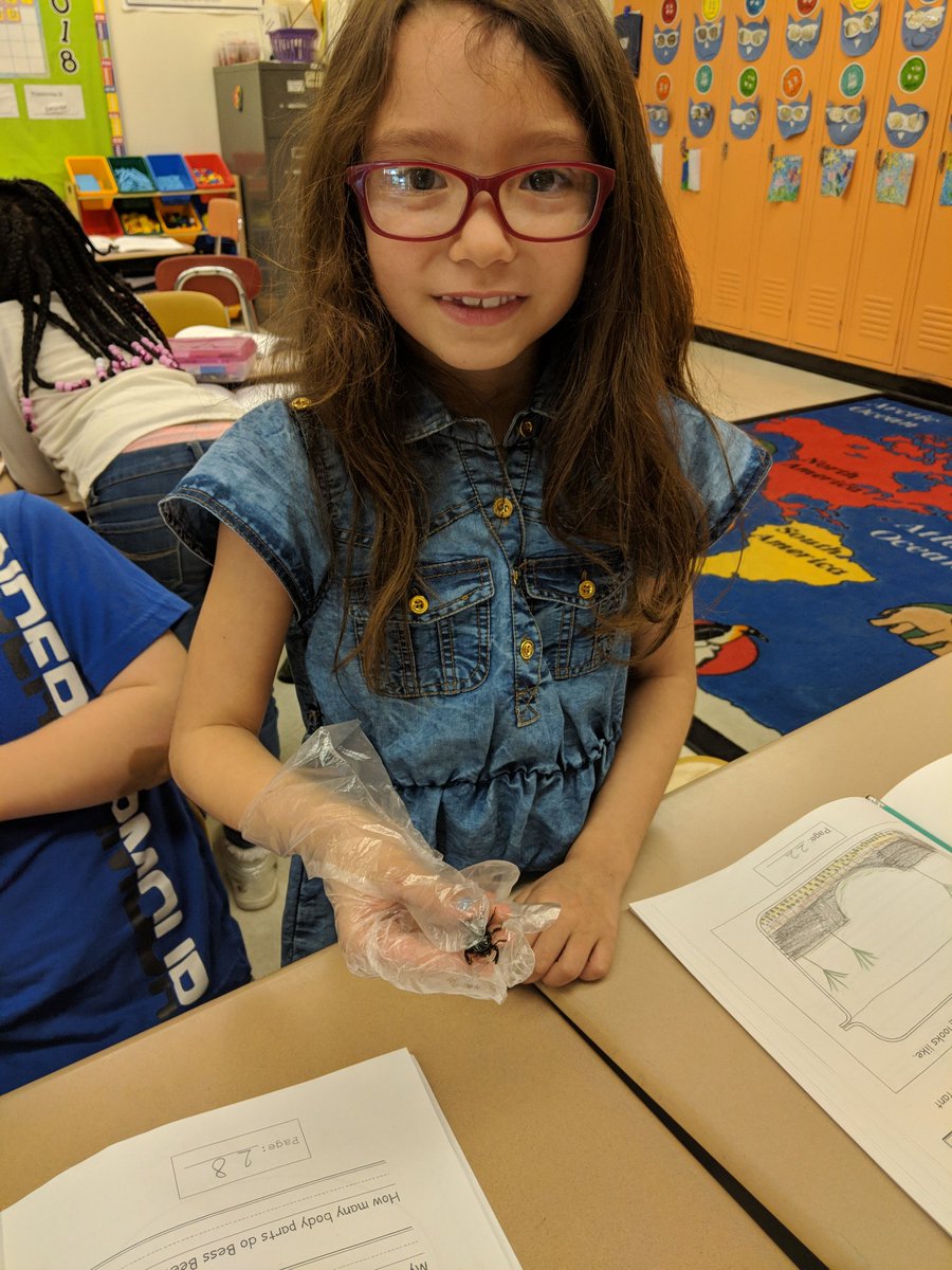mrsbuglar1's tweet photo. The bugs have arrived!!! Oh, the squeals of nervousness and excitement were too funny this morning! #assetscience #organisms https://t.co/tAqzY1d8ZQ