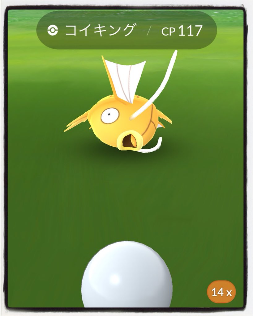 レイドバトル 10 回 イメージポケモンコレクション