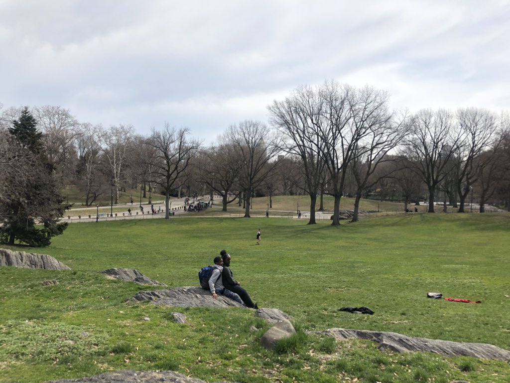 sumire_vln's tweet photo. Spring is here in New York! 今日のニューヨークは突然の20℃超え!春だー🌸 #practicebreak https://t.co/N6GG4uffPu