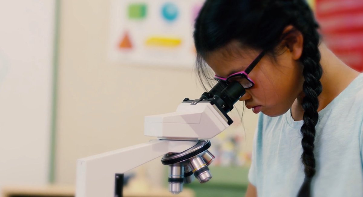 MyThermoFisher's tweet photo. Thermo Fisher took home the Large Company category prize for our "Inspiring Young Scientists to Change the World" video at the 10th annual Corporate Citizenship Film Festival. 🎉🏆Thank you to all who voted for our video during the #BCConf18 film fest! https://t.co/ThEO1N8Ysb https://t.co/B9ZBwLmLyF