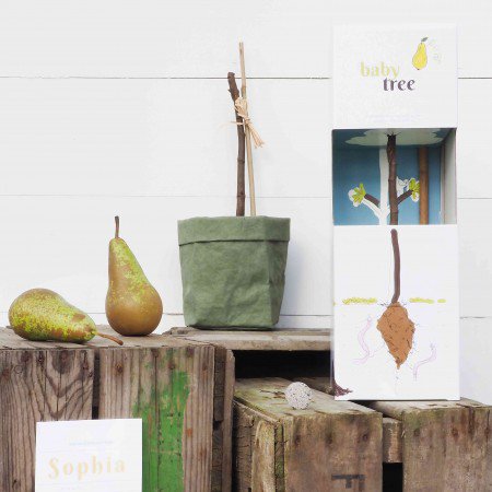 Secretaressedag 2018 is op 19 april
🌱🍏🍎🍐🍋🍒🍇 #TIP groenezaken.com/groenezakendea…