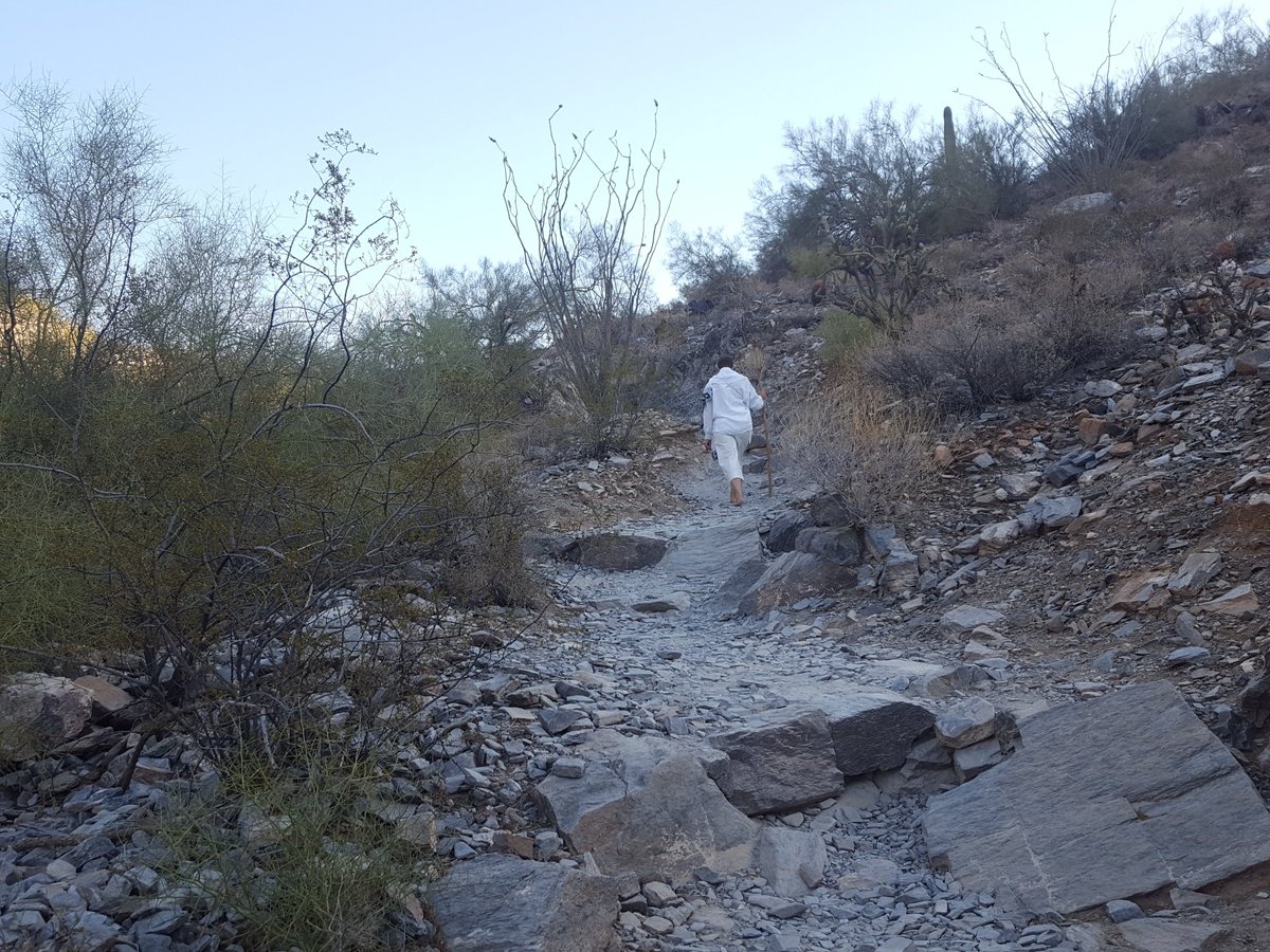 MoW_US's tweet image. Piestewa Peak sits at an elevation of 2,608 feet and is the third highest mountain in the city of Phoenix, Arizona. Prior to becoming part of the Phoenix Mountains Preserve, this area was used for mining and grazing.
#blastradius #datahumanization #notatarget