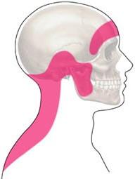 CB Physio tweet media