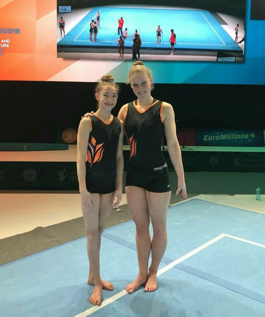 DOS Monster tweet media