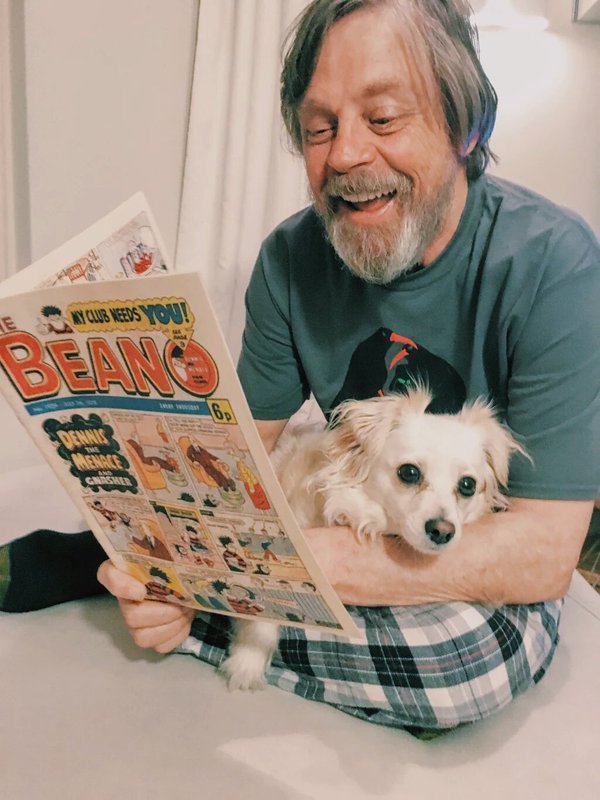 ItsMarkHamill's tweet photo. @HamillHimself @MarilouHamill @chelseahamill @Svengoolie Woo-hoo! Pyjama's for 5 days!! 😃 https://t.co/xZUf4VCDRP