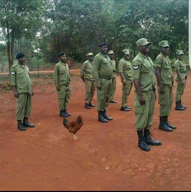 SMotlogewa's tweet photo. @gabisilet @TBTon1 @skhumbi uhlekisa kamnandi ka khulu I mean like this 😁😂😅😅😅😂😅😅😅😅😅😂😂😂😂 https://t.co/JVHmbJYZTs