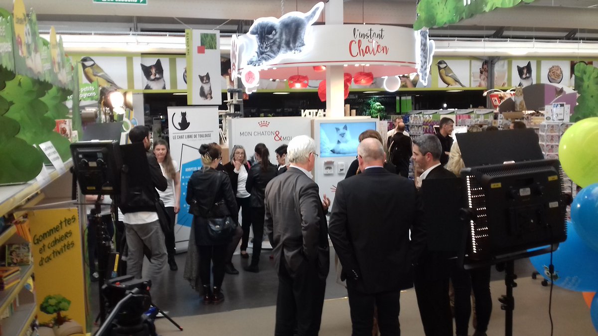 gillescazaux's tweet photo. Tournage, Royal Canin, Truffaut, inauguration du nouvel espace dédié au chaton. Cest l'Instant Chaton 🐱🐈 #miaou #videochaton #toulouse https://t.co/hr83wnMEcD