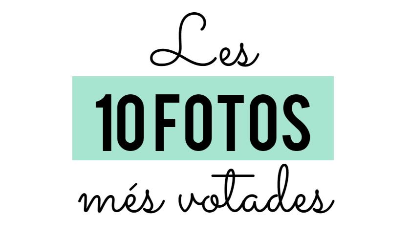 AlertaForestal's tweet photo. Estem enamoradíssims de les fotos que ens heu enviat al concurs #TreeMotion... Quin tros de nivell hi ha hagut!!!!😍 Drons i boscos en estat pur! Obrim fil amb les 10 fotos més votades pel jurat👇👇 https://t.co/7DHgUbypFu