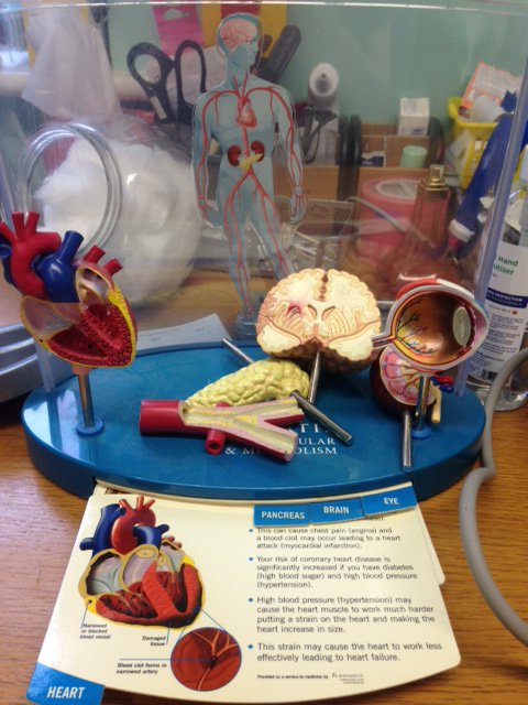 donneybrookMC's tweet photo. it's all go...having a heart to heart with Sister louise  and Anita is juggling with Mr Ali to stop him going back into hospital.  #endparalysis  @martina_davies  @ElaineParkerB  @louisebrady17  @LynneW27  @C_Carmichael83 https://t.co/3tBTul0B9J