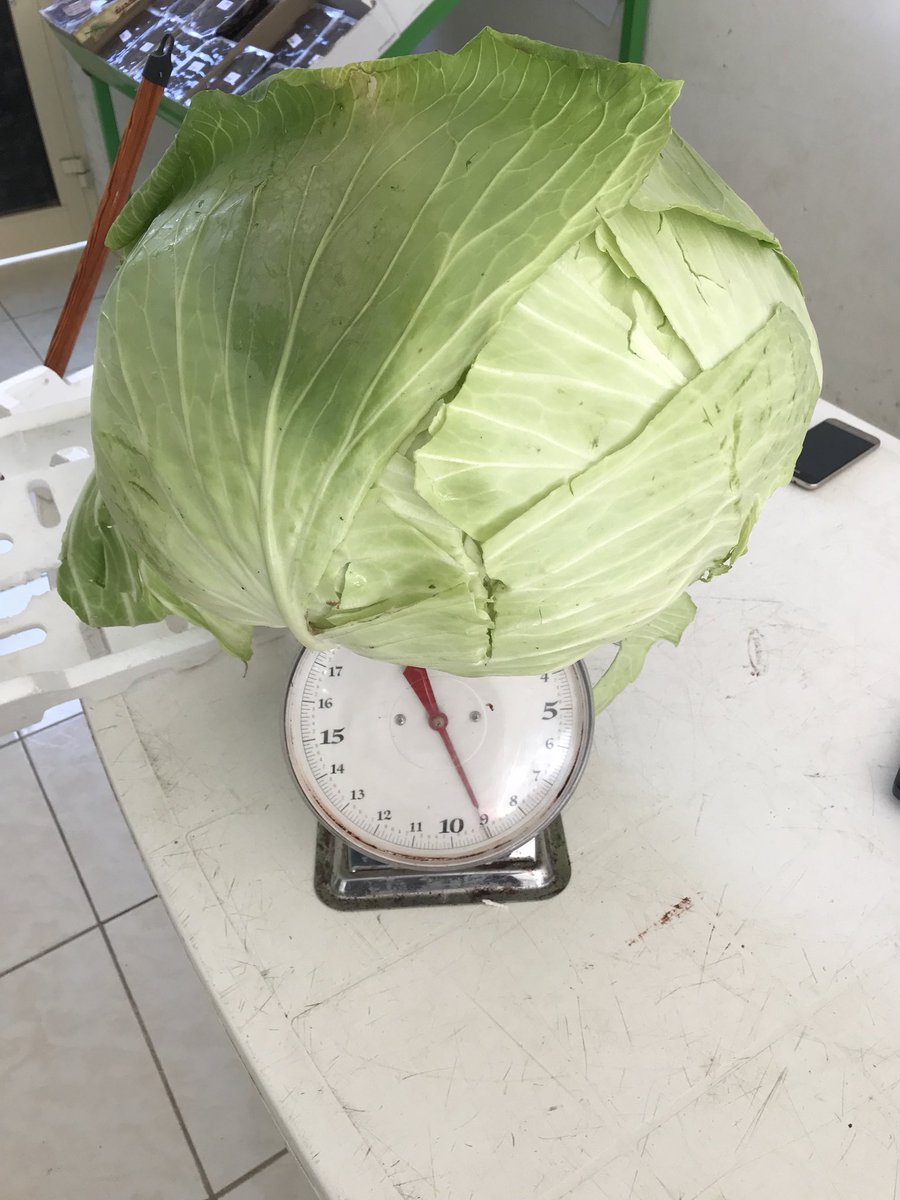 He2010Sayed's tweet image. #الهلال_بطل_الدوري_السعودي
مزارع_البوعينين_للخضروات
استمتع معنا بعرض الجمعه ١٣ ابريل سته أصناف ٣٥ ريال بالاضافهً لباقي الاصناف
maps.google.com/?q=26.892773,4…