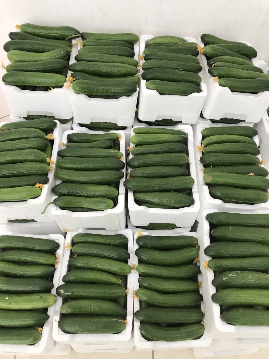 He2010Sayed's tweet image. #الهلال_بطل_الدوري_السعودي
مزارع_البوعينين_للخضروات
استمتع معنا بعرض الجمعه ١٣ ابريل سته أصناف ٣٥ ريال بالاضافهً لباقي الاصناف
maps.google.com/?q=26.892773,4…