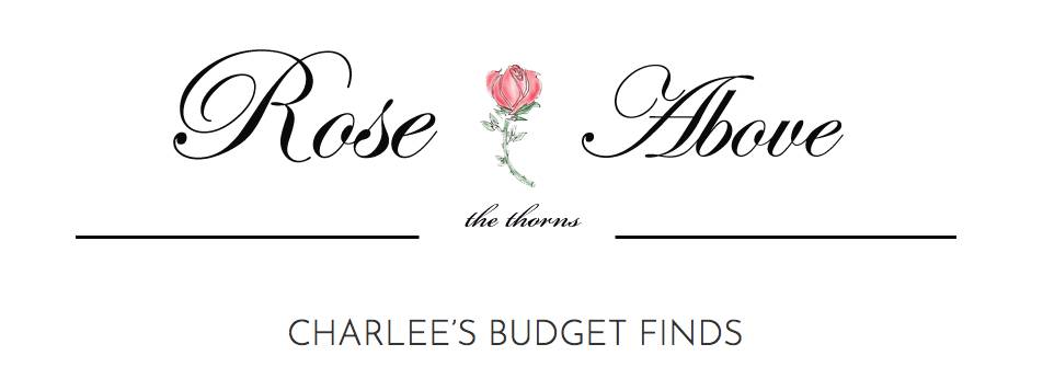 Rose_above_TT's tweet image. New &amp;amp; updated items on #Charlee&apos;sBudgetFinds ow.ly/ojeg30jt9be #fblchat #femaleblogger #fashionblogger