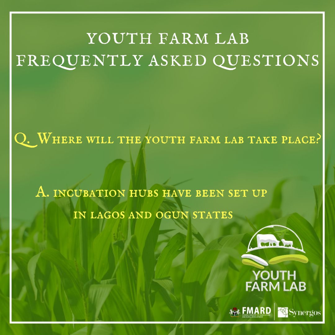YouthFarmLab's tweet photo. We are answering one of the Frequently Asked Questions that have been asked about the Youth Farm Lab.
#FAQ #AgricBusiness #YouthFarmLab #YouthFarm #Innovation https://t.co/OJGs7ZcnsY