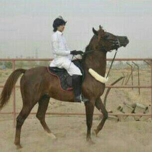 مساء الخير متابعيني الغالين،،،❤️😘🌹🌹