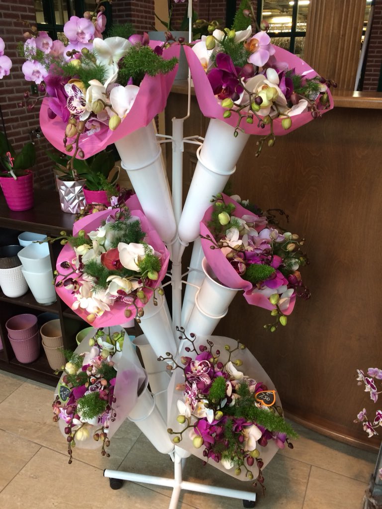 Levo Shop tweet media