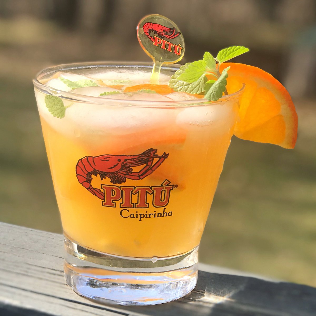 Happy Caipirinha Friday!!
Minneola Tangelos + Mint Caipirinha! Caipirinha. #caipirinha #cachaça #pitu #caipirinhafriday #sabordobrazil #CoquetariaBrasileira 
#drinks #Mixology #Cocktails 
#cocktailporn #sharethechef #sharethechefct #tgif #cheers