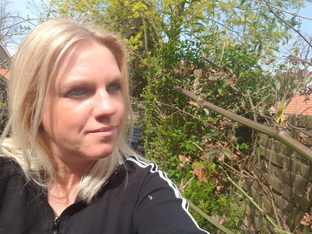 MarjolijnRhee's tweet photo. De #tuin weer zomerklaar aan het  maken... Ik kan zo genieten van de prachtige #natuur waaronder de nieuwe scheuten aan de bramenstruik.... Wonderlijk toch?#tuinieren #scheuten #bramen #buitenleven https://t.co/FbnSdwLoA6