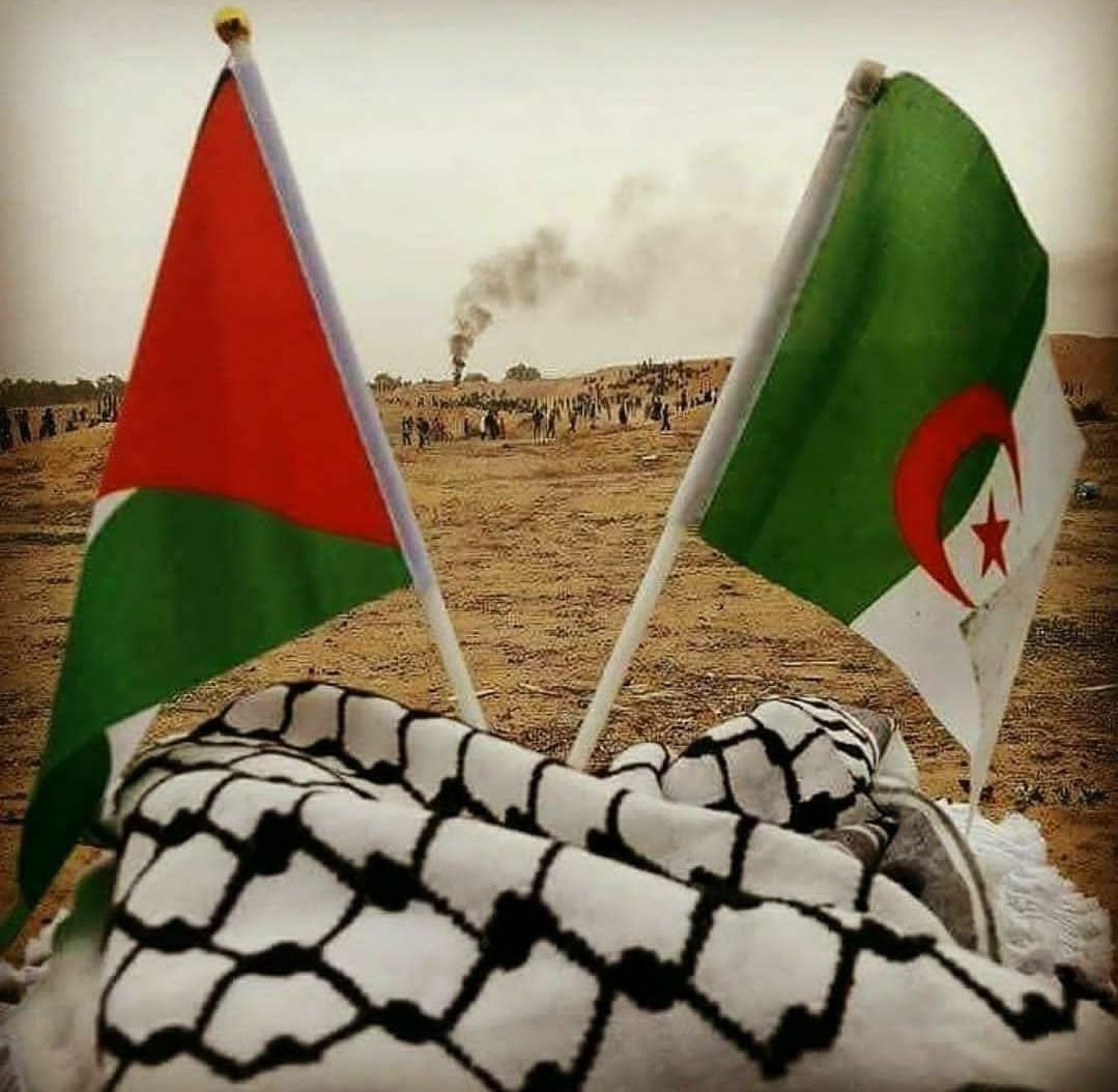 صور علم فلسطين