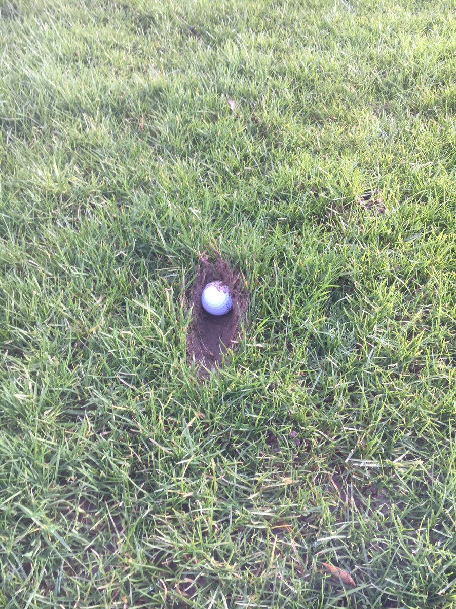 GolfInYorkshire's tweet photo. Then again, conditions like this are probably more likely... 🏌⛳️#golf #golfer https://t.co/1PqGVSG4sW