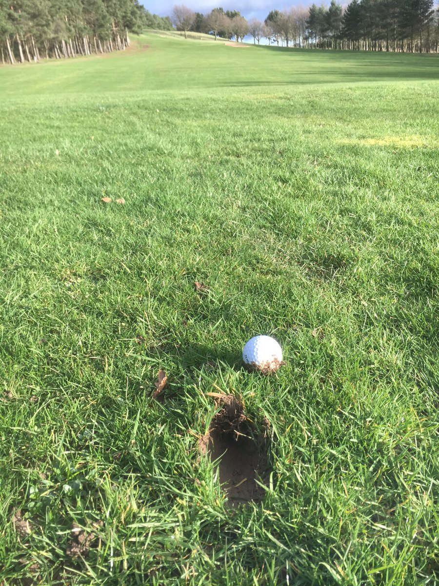 GolfInYorkshire's tweet photo. Then again, conditions like this are probably more likely... 🏌⛳️#golf #golfer https://t.co/1PqGVSG4sW