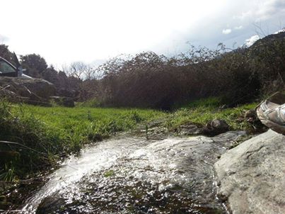 Feliz Viernes!! #artesanal #mermeladaartesanal #latejea