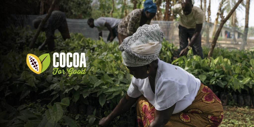 HersheyCompany's tweet photo. Read all about it! Jeff King talks about Hershey’s new #sustainability strategy, how it’s making a difference in lives around the world, and what this #CocoaForGood commitment means to the business: https://t.co/UxuGMyrio1 https://t.co/aWFTE1rEIb