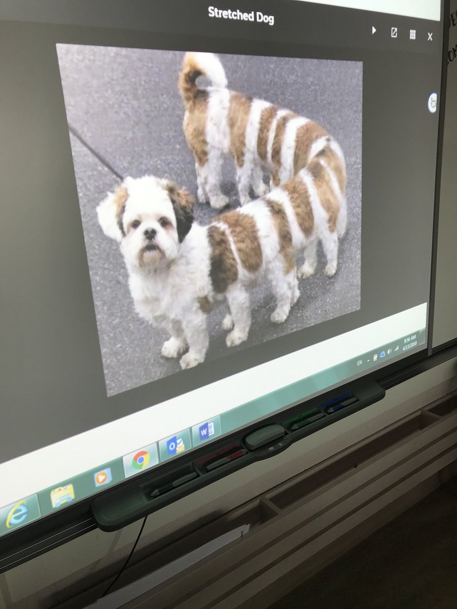 Pdalefour's tweet photo. We kicked off the morning with some giggles as we did a free write about this pup #Pdale #freewrite #giggles https://t.co/P9bJWTaG2Q
