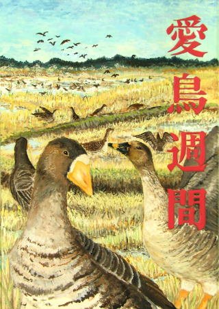 愛鳥週間ポスターの書き方で中学生向けのポイント 文字や背景の作成のコツは パワースポット巡りでご利益を 開運ネット