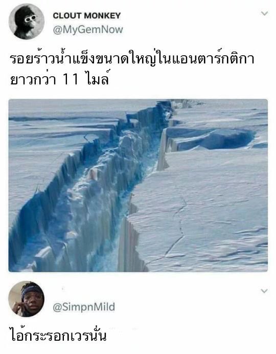 mpof tweet media