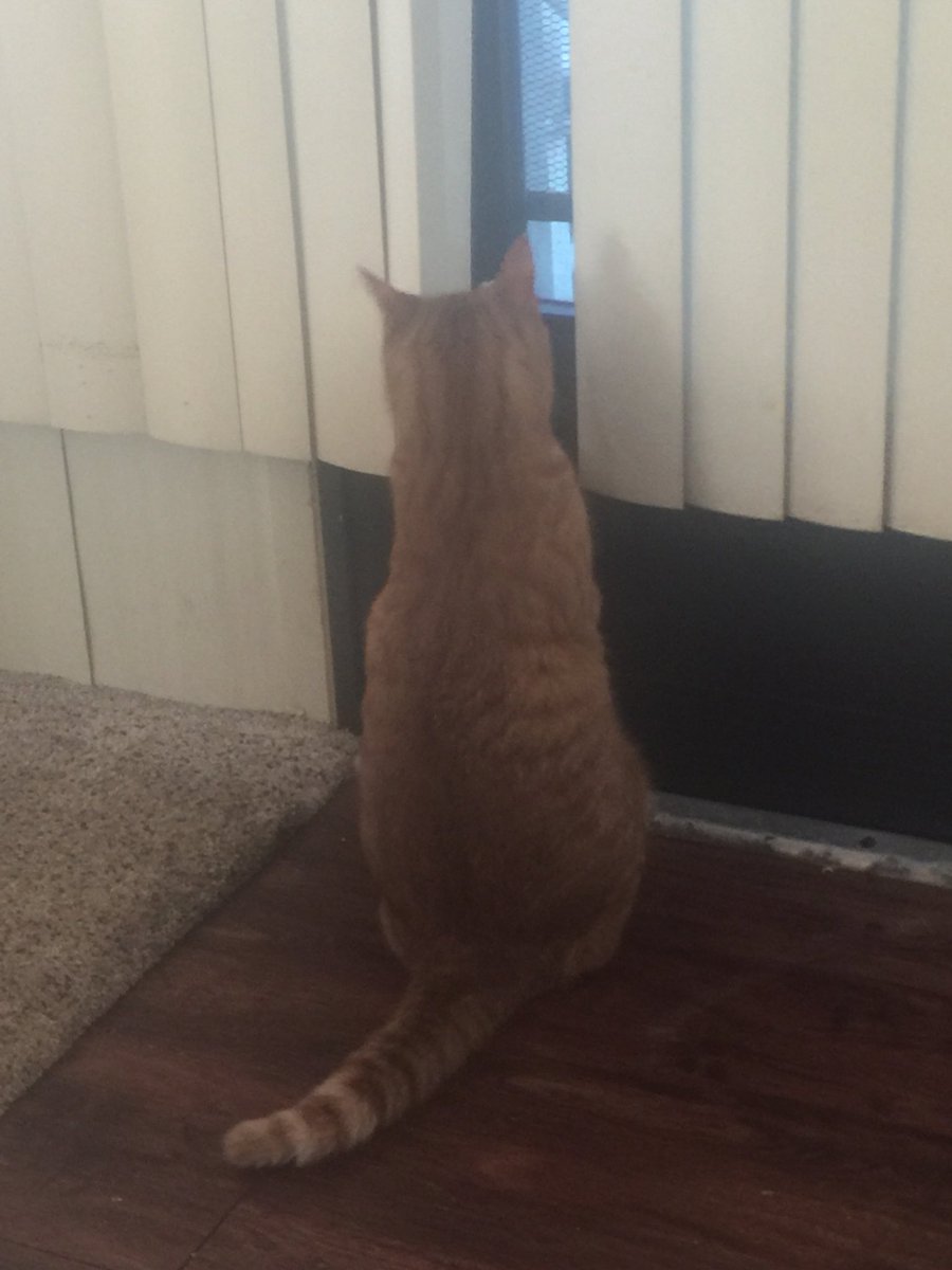 // when will his wife return from war?