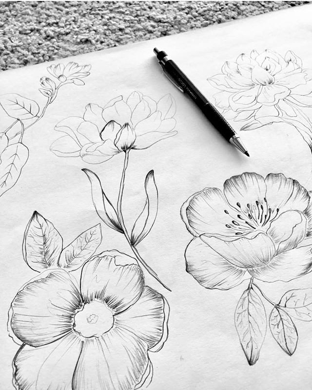 patternbank's tweet photo. → https://t.co/WK7Jd5MFJo
Tuesday Sketching ... #flowers 🌟💕😊 #design #linedrawing #printdevelopment #inspiration #blackandwhite ✏️💖 #patternbank .
.
.
#floral #illustration #prints #botanicalgarden #nature #botanical
#art #pattern #drawings #textiledesign #textiles https://t.co/qpjiqoo0sb