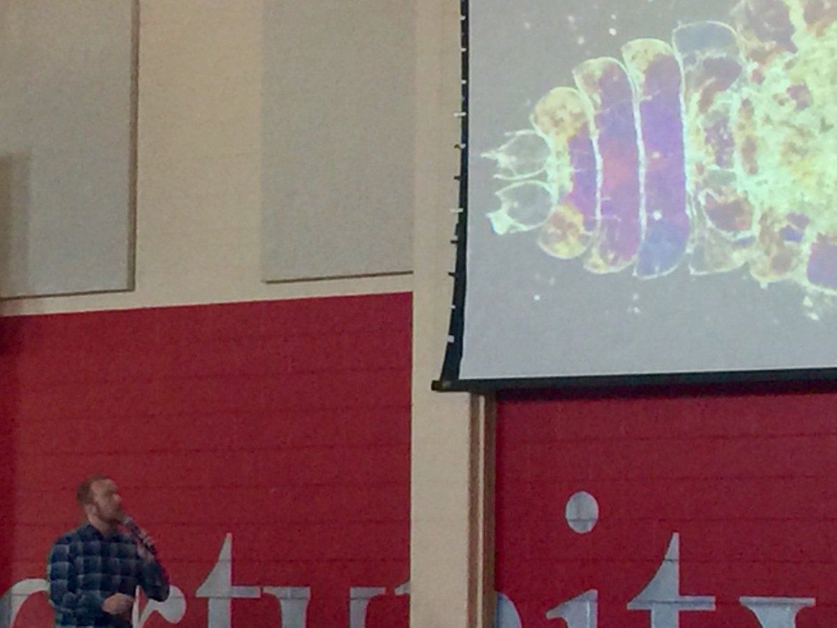 fishersu's tweet photo. Learning so much today at our #WALower Community Meeting about our amazing oceans from Paul North @meettheocean #alloneocean #wesharethisearth #WoodwardWay @WoodwardAcademy @WAPresident https://t.co/oCbohNatzc