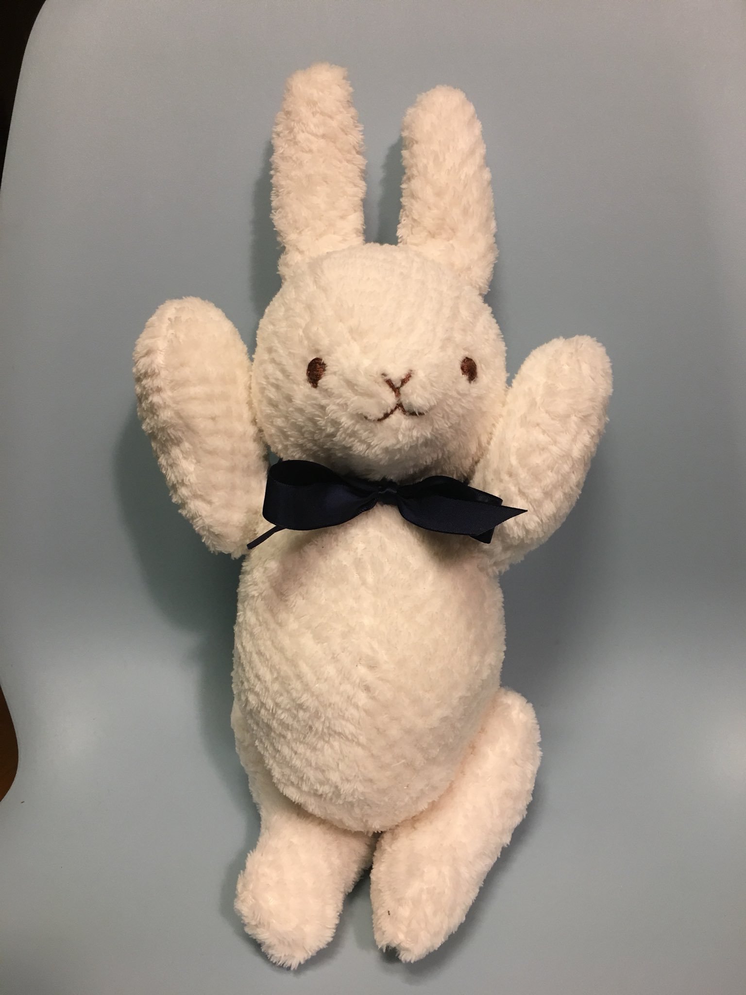 Twitter 上的 ふるえるとり うさぎのぬいぐるみ完成 ダイソーのブランケット1枚から型紙なしで適当に切り出し ミシン1時間 仕上げに2時間くらい 顔は刺繍 ジョイント入れてるので稼働する 座らせて縦30cmくらいで大きめ ハンドメイド T Co