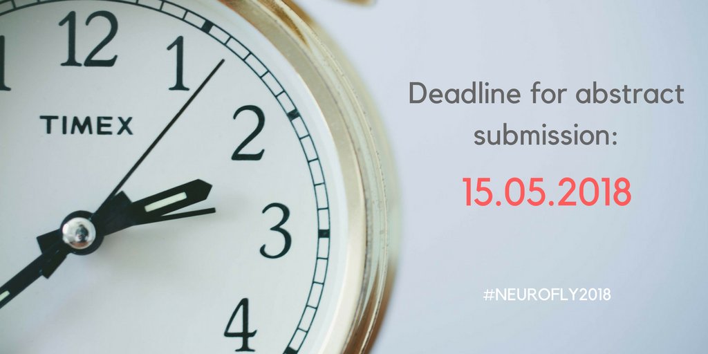 Neurofly2018's tweet photo. Clock is ticking ⏰ Only one month left to submit your abstract! 
https://t.co/Pd49qErSRy 
#neurofly #neurofly2018 #neuroscience https://t.co/gvMXatRCpk