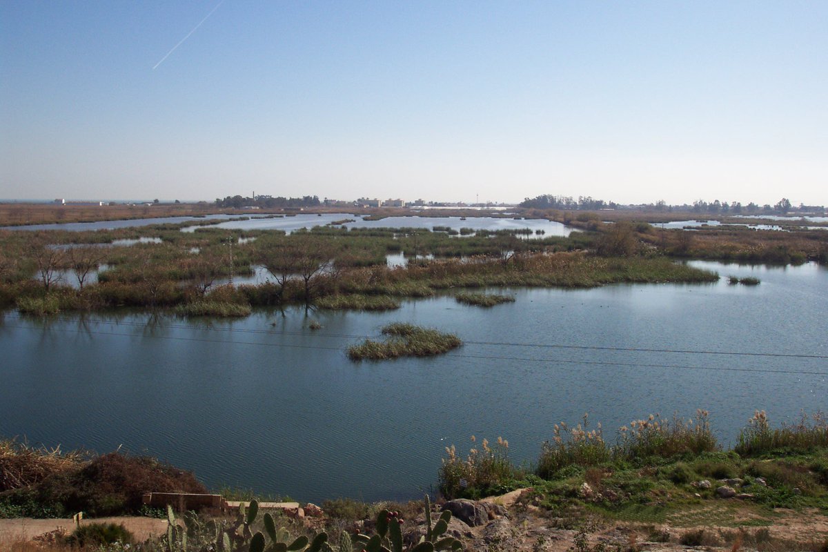 GVAagricultura's tweet photo. La Comunitat Valenciana compta amb una nova zona humida #Ramsar: la Marjal d'Almenara https://t.co/bHkou1VhWP @Elenetcc #MarjalAlmenara https://t.co/dPiAQWFOtf