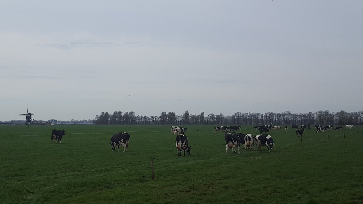 Tim van Noord tweet media