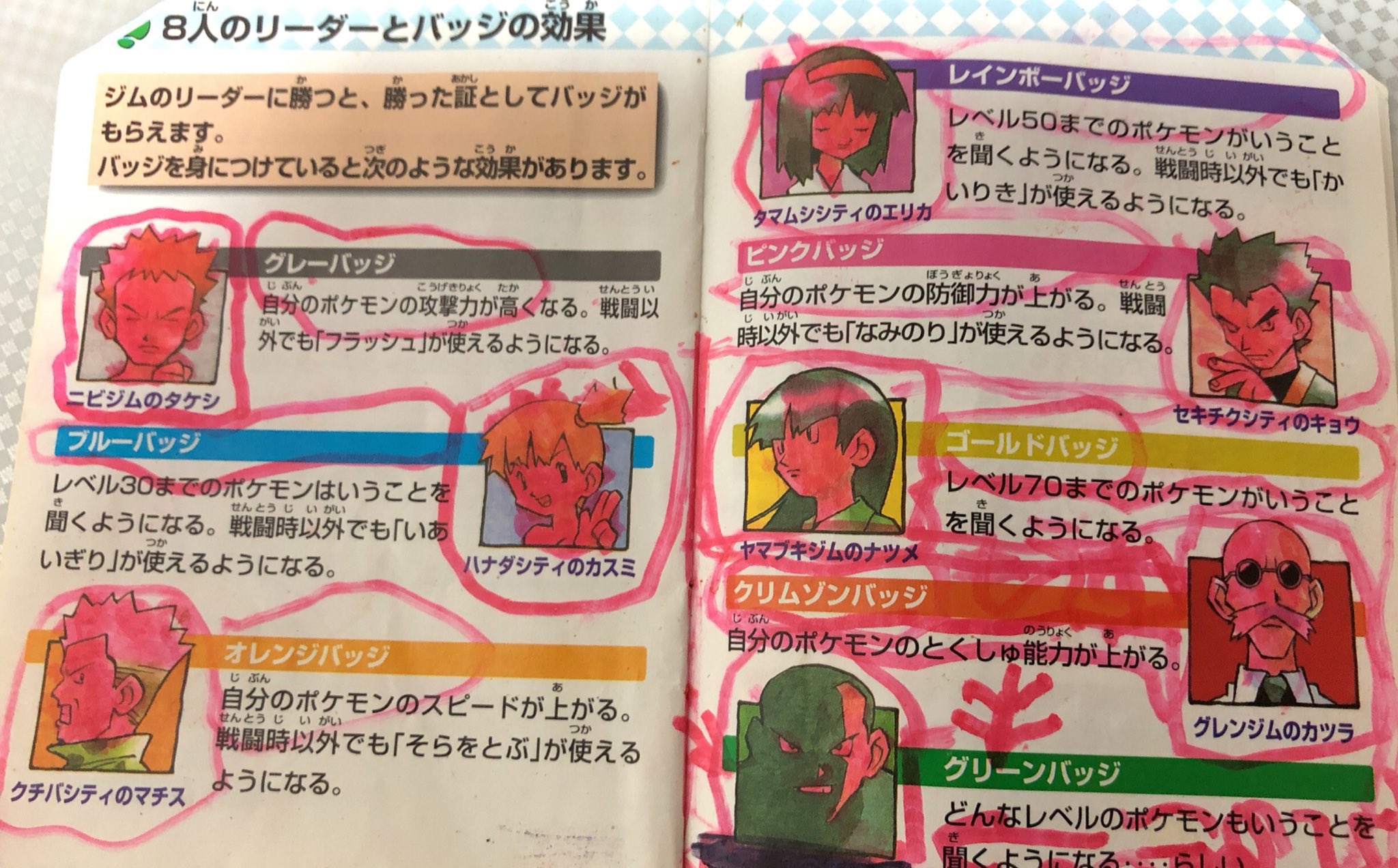 あおピコ 年以上前の ポケモン緑の説明書が出てきた 小さい頃の自分の精神状態が とても心配になった W イケボ T Co P4r9qwpjqs Twitter