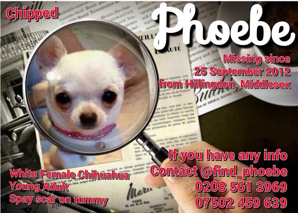 tahoe leigh🐎 tweet media