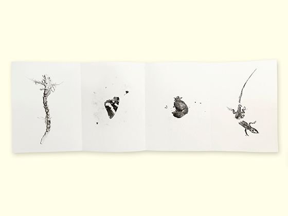IndiePhotobooks's tweet photo. Indago by Yurian Quintanas. Co-published by Editions 77. https://t.co/khXoSZBUaj https://t.co/yAOGtyxmN0