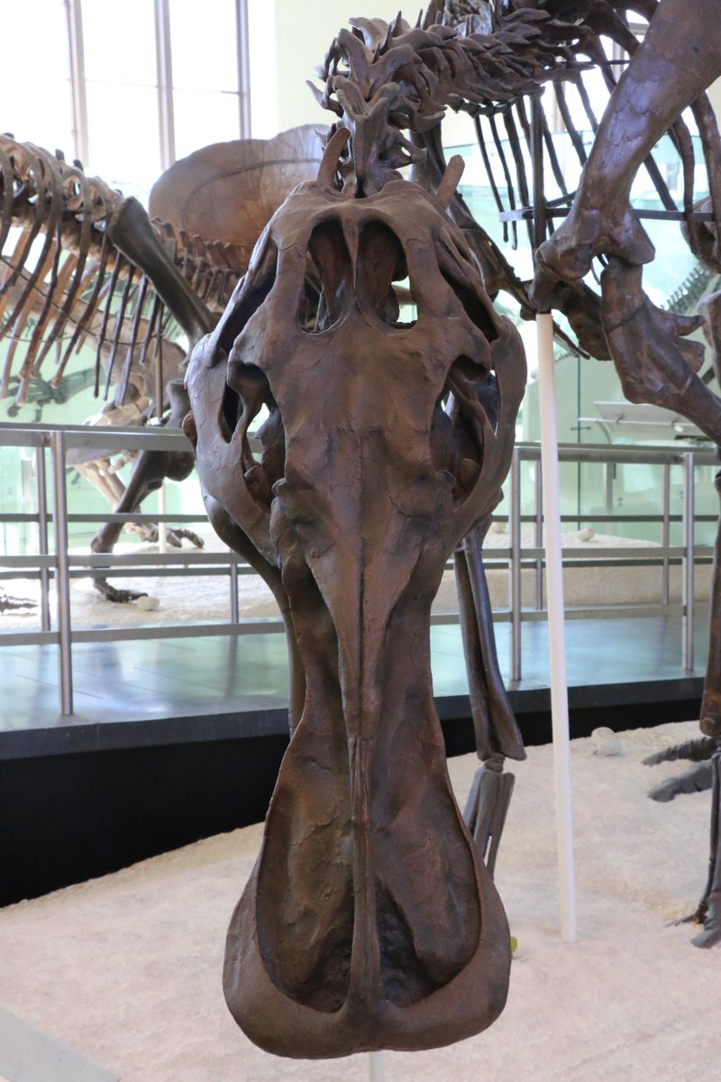 Theory And Research In Mass Communication Contexts And Consequences