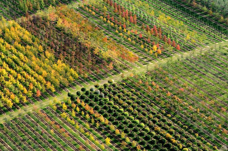 Carbon Brief tweet media