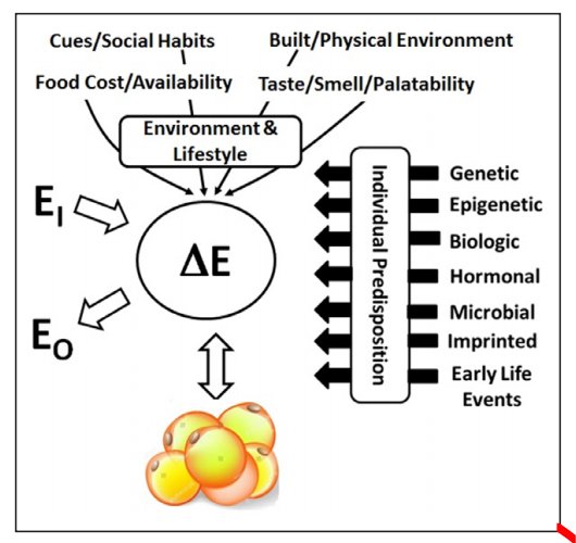 La #obesidad es mas que un trastorno de conducta. Es una enfermedad. Circulation. 2018;137:1543–1545. DOI: 10.1161/CIRCULATIONAHA.118.032780