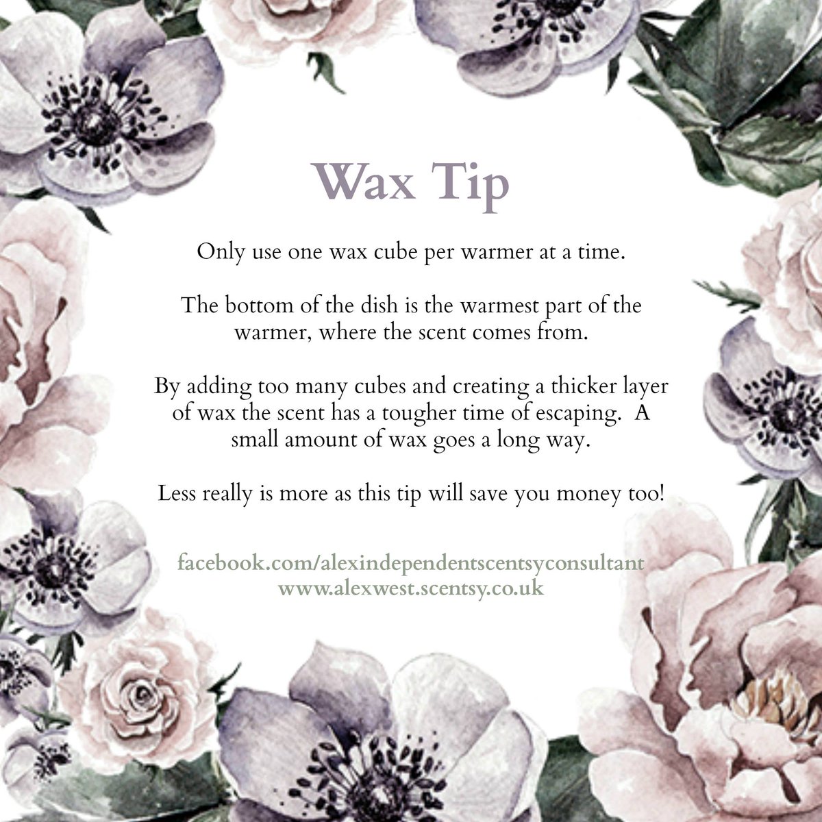 AlexsSafeScents's tweet photo. My top Scentsy wax tip today = less is more <3 #moneysaving #alexssafescents #tip #tipoftheday #wax #wicklesscandles #bargain https://t.co/KHiZdS3yJY https://t.co/utBmFocgpj